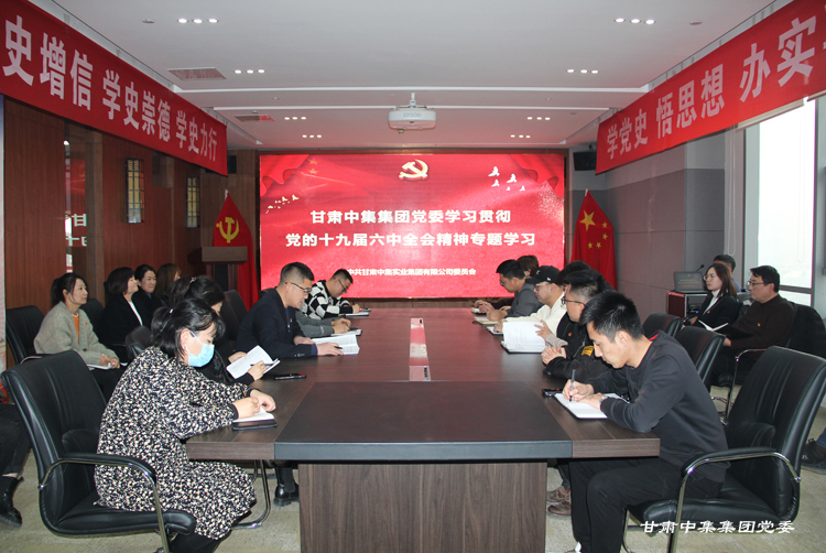 甘肅中集集團(tuán)黨委學(xué)習(xí)宣傳貫徹黨的十九屆六中全會精神